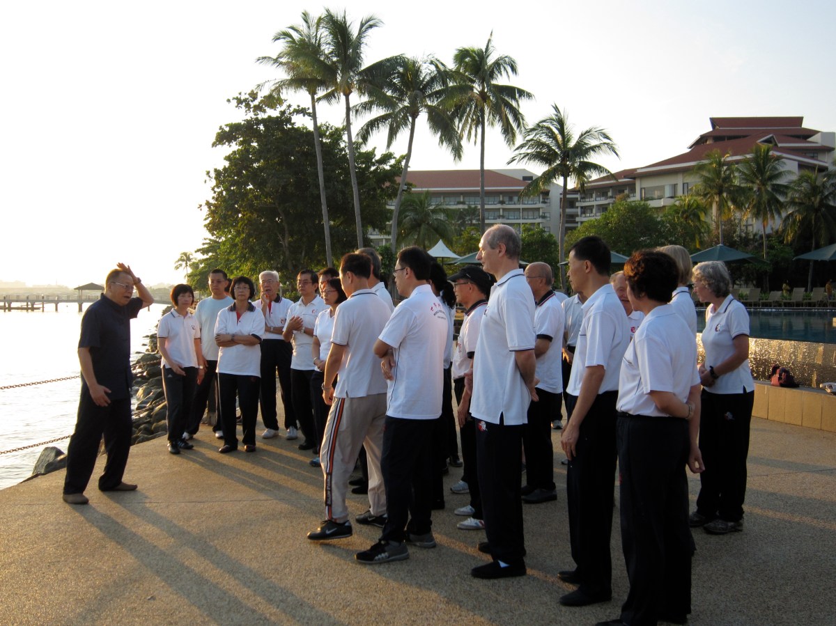 拳架：中脈_頂頭懸